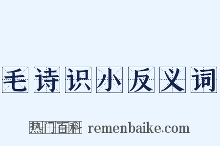毛诗识小反义词是什么意思的图片